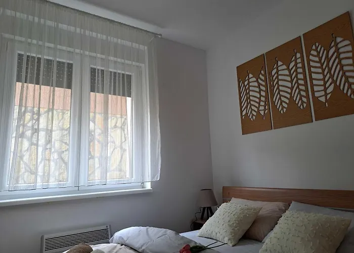 Апартаменты D&m Porodicni Врнячка-Баня